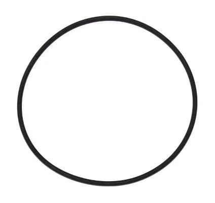 Seal Ring