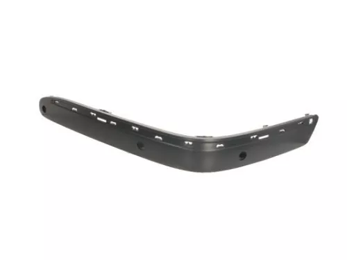 Trim/Protection Strip, bumper