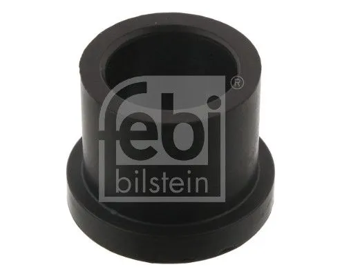 Bushing, leaf spring