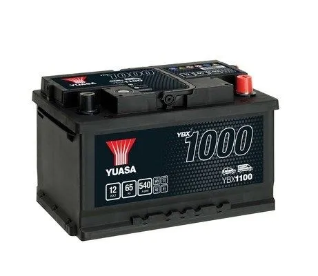 Starter Battery