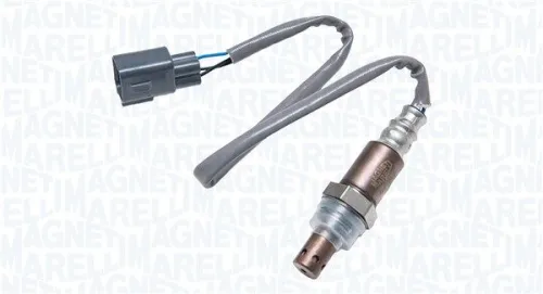 Oxygen Sensor