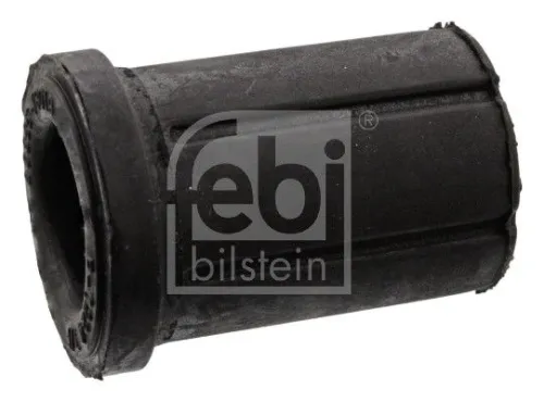 Bushing, leaf spring