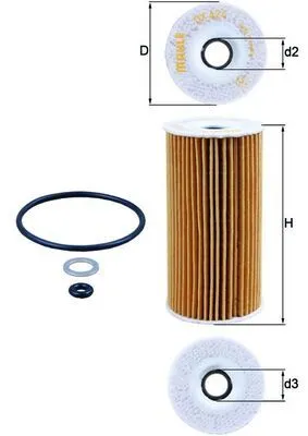 Oil Filter