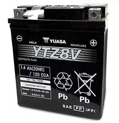Starter Battery