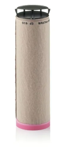 Secondary Air Filter