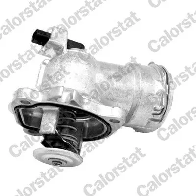 Thermostat, coolant