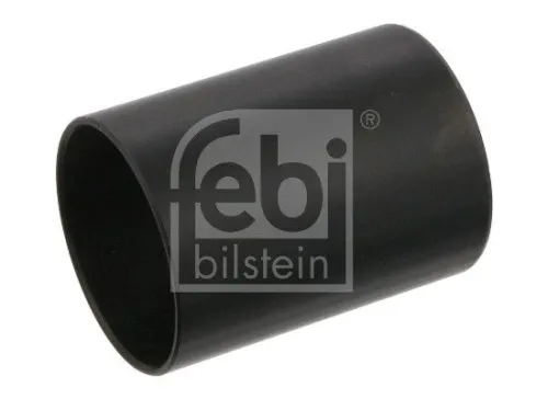 Bushing, leaf spring