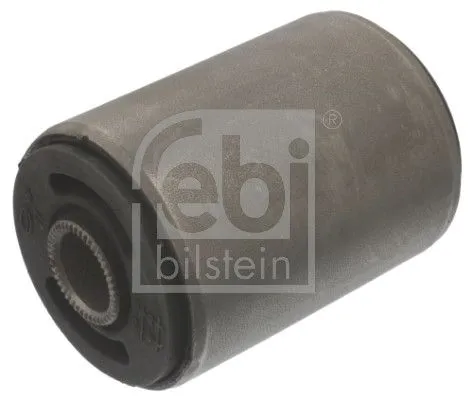 Bushing, leaf spring