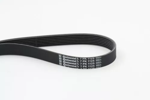 V-ribbed Belt