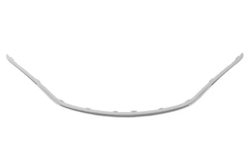 Trim/Protection Strip, radiator grille