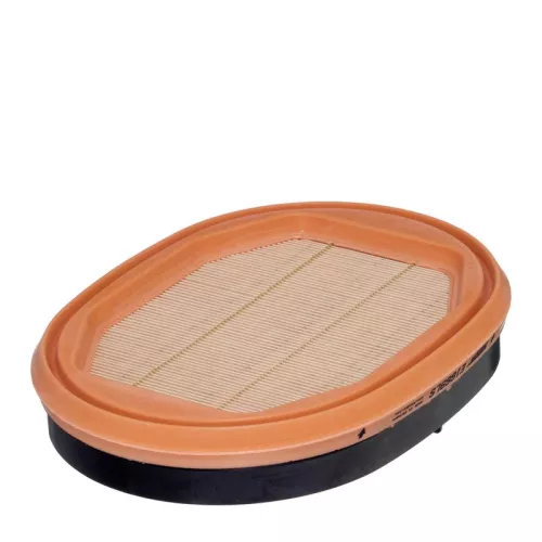 Secondary Air Filter