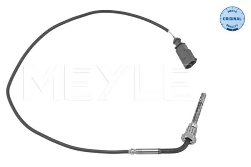Sensor, exhaust gas temperature