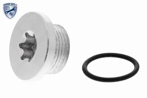 Screw Plug, automatic transmission casing