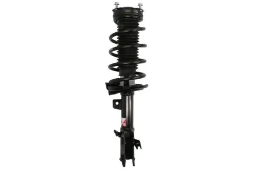 Suspension Kit, springs/shock absorbers