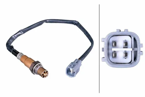 Oxygen Sensor