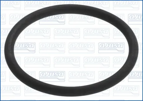 Seal Ring, air filter housing intake hose