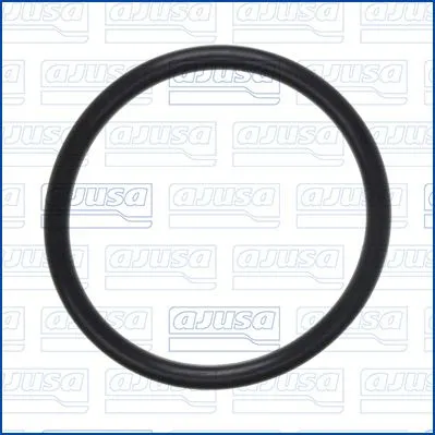 Seal Ring, air filter housing intake hose
