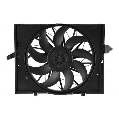 Fan, engine cooling