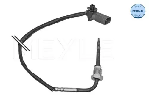 Sensor, exhaust gas temperature