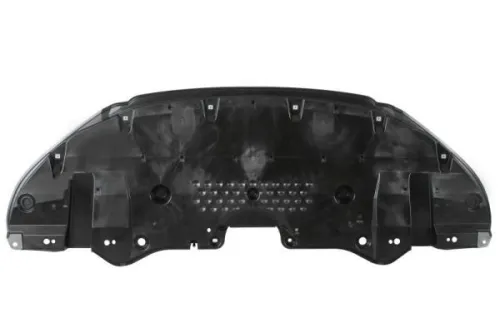 Engine Guard/Skid Plate