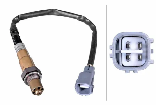 Oxygen Sensor