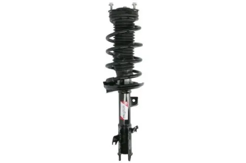 Suspension Kit, springs/shock absorbers