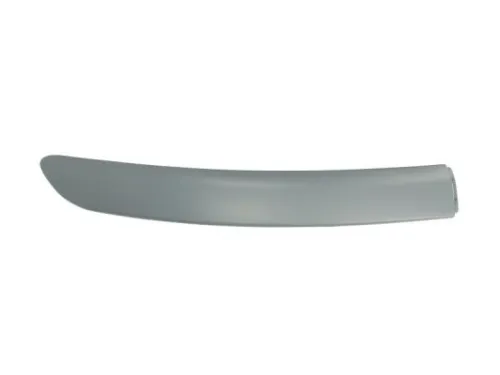 Trim/Protection Strip, bumper