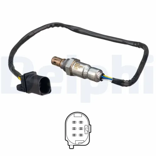 Oxygen Sensor