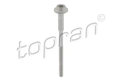 Screw, injection nozzle holder