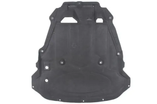 Engine Guard/Skid Plate