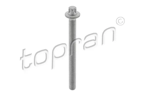 Screw, injection nozzle holder