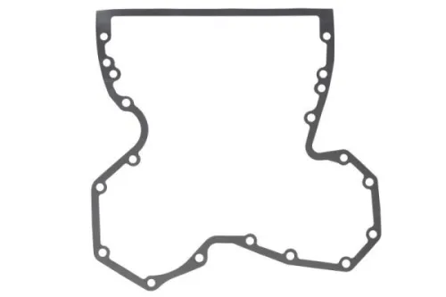 Gasket, timing case