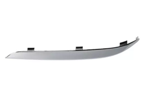 Trim/Protection Strip, bumper