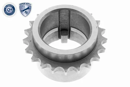 Sprocket, crankshaft