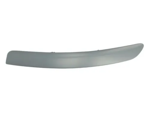 Trim/Protection Strip, bumper