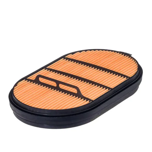 Secondary Air Filter