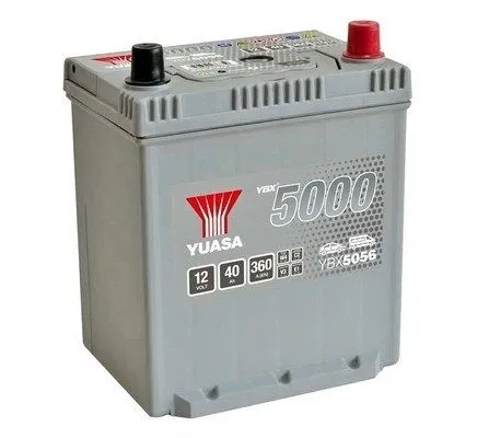 Starter Battery