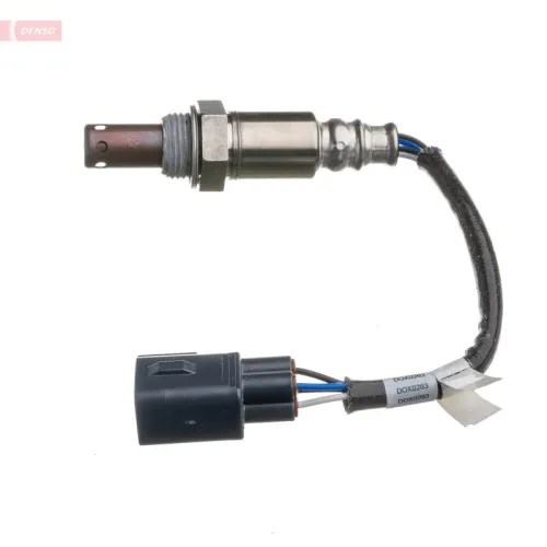 Oxygen Sensor
