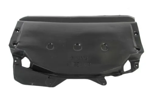 Engine Guard/Skid Plate