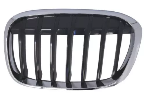 Radiator Grille