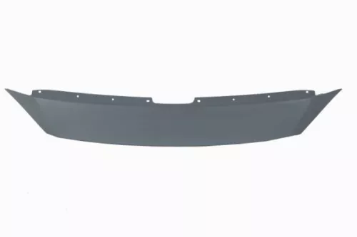 Trim/Protection Strip, radiator grille