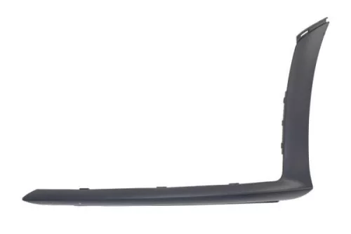 Trim/Protection Strip, bumper