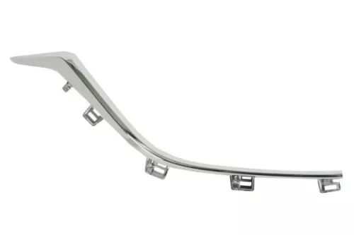 Trim/Protection Strip, radiator grille