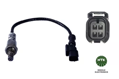 Oxygen Sensor