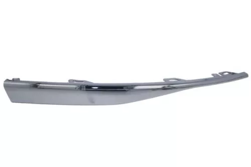 Trim/Protection Strip, bumper
