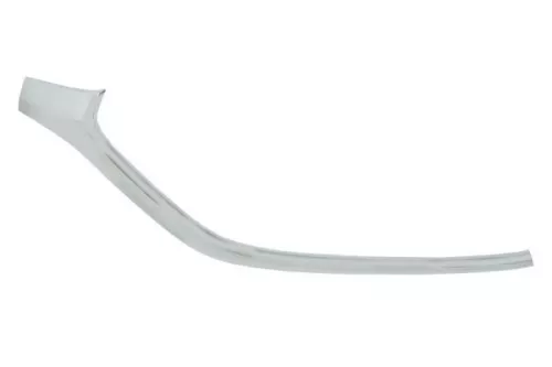 Trim/Protection Strip, bumper