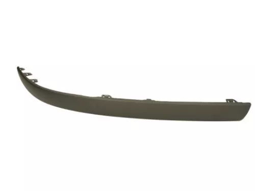 Trim/Protection Strip, bumper