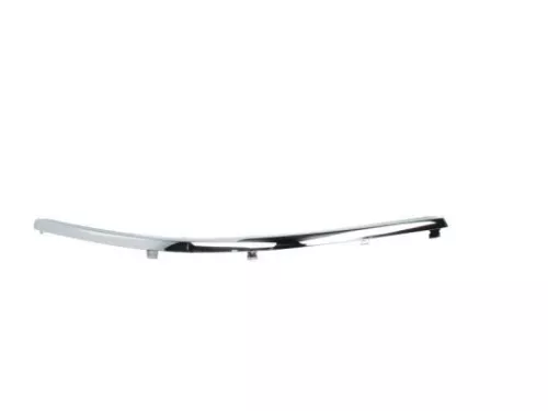 Trim/Protection Strip, bumper