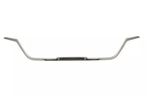 Trim/Protection Strip, radiator grille