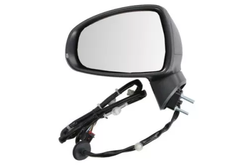 Exterior Mirror